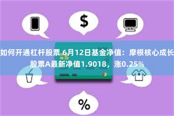 如何开通杠杆股票 6月12日基金净值：摩根核心成长股票A最新净值1.9018，涨0.25%