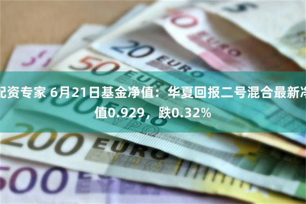 配资专家 6月21日基金净值：华夏回报二号混合最新净值0.929，跌0.32%