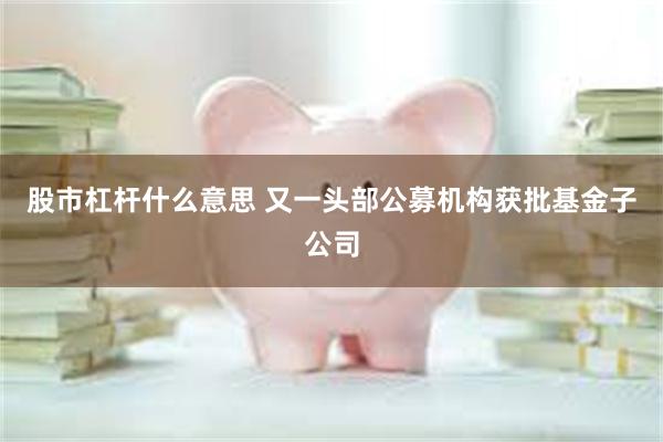 股市杠杆什么意思 又一头部公募机构获批基金子公司