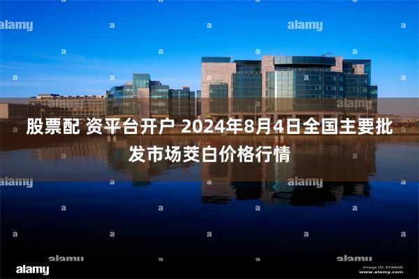 股票配 资平台开户 2024年8月4日全国主要批发市场茭白价格行情