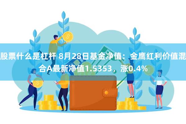 股票什么是杠杆 8月28日基金净值：金鹰红利价值混合A最新净值1.5353，涨0.4%