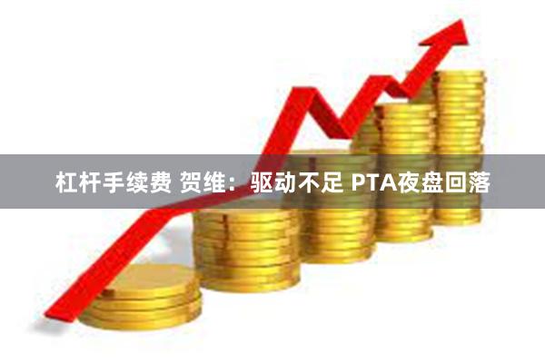 杠杆手续费 贺维：驱动不足 PTA夜盘回落