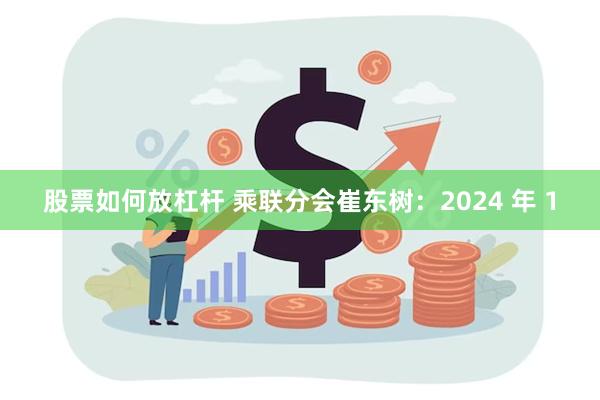 股票如何放杠杆 乘联分会崔东树：2024 年 1