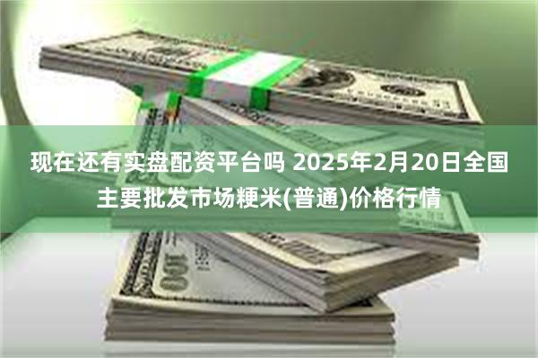 现在还有实盘配资平台吗 2025年2月20日全国主要批发市场粳米(普通)价格行情